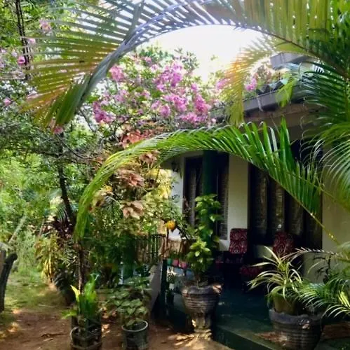 Village Feel Home Stay